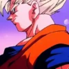 Goku y Vegeta 2✨✨✨ 10