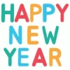 New year tahun baru 13