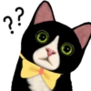 Cute cat 21