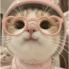 Animalitos cute ✨😸🐾 19