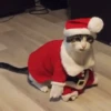 Feliz Natal 12