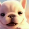Pibble 🐶 | Perrito Tiktok  6