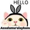 Cute cat 10