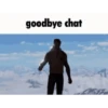 Good bye chat 👋🏻 7