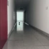 Escapes y peleas épicas 🐱🐶 13