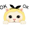 Cute cat 16
