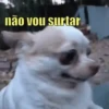 Dramáticas  13