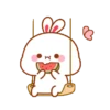 Rabbit🐰 16