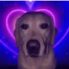 GIFs Amorzinho 3 🫶🏻 12