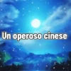 Gifs sceme 6