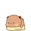 Bubu Dudu 🐼🐻 13