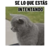 SE LO QUE ESTÁS INTENTANDO