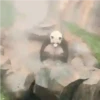 Panda 🐼 10