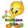 Piolin 2.0 22