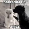 🐕 Coitadolândia de Cachorrinho 26