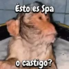 Esto es Spa o castigo?