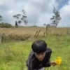 Entrega de flores amarillas 🌻 5
