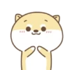 Gatito kawaii 25