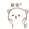 Cat love 17
