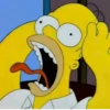 Homer 🤣 11