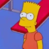 Los Simpson Animados 14