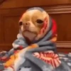 RAPAZ, QUE FRIO 🥶 5