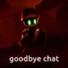 Good bye chat 👋🏻 6