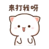 Peach cat 10 19