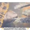 Mis pegatinas 14