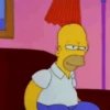 Homer 🤣 7