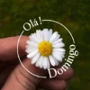 Olá! Doming