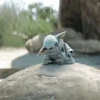 ⭐ star wars baby yoda2 👽🛸 8