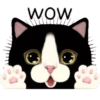 Cute cat 18