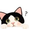 Cute cat 19