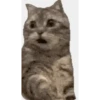 Sticker de TikTok 16
