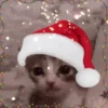 NAVIDAD RANDOM 🎄❤️ 12