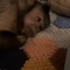 Monkeys 🤎🐵 6