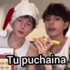Tu puchaina