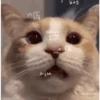 GIFs Quê? 2 🤨 9