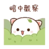 Peach goma 13
