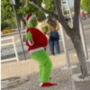 Grinch brasileiro  28