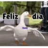 Axy Linda 2026-6 19