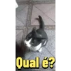 Hahaha 5