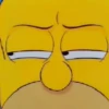 Homero Simpson✨🤭 19