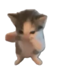 🐈‍⬛🐱🧶 GATOS | CATS 4 🧶🐱🐈‍⬛ 3