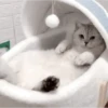 🐾 Gatos ramdon 2 🐈 10