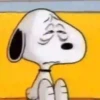 🐶Snoopy🐶 12