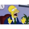 Homero animado 25