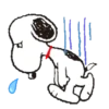 Snoopy  12
