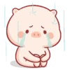 Stiker Piggy Bucin 🐷 7